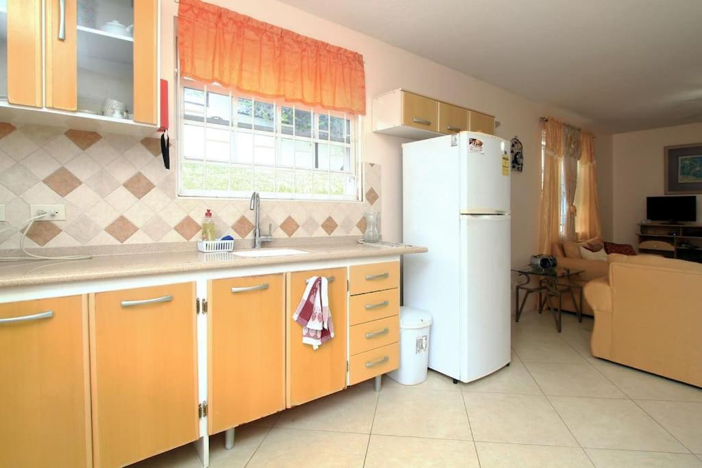 Sungold House Barbados Villa Сейнт Питър Екстериор снимка